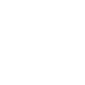 List view icon